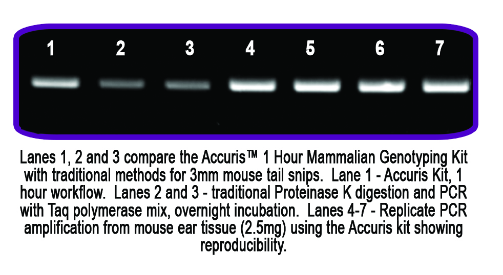 Accuris Mammalian Genotyping Kit